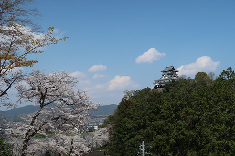 犬山城周辺散策